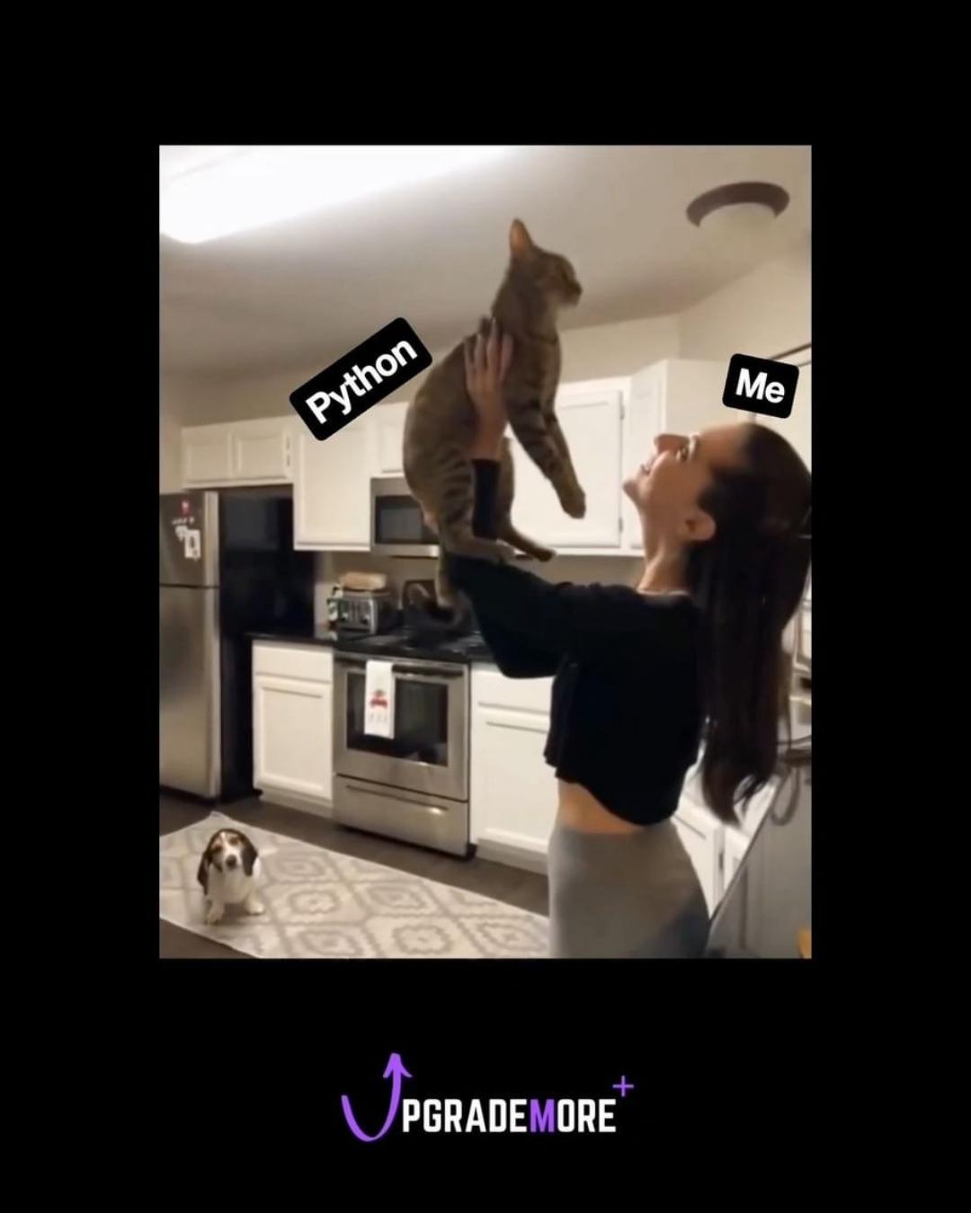 Whizoid