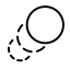 Whizoid